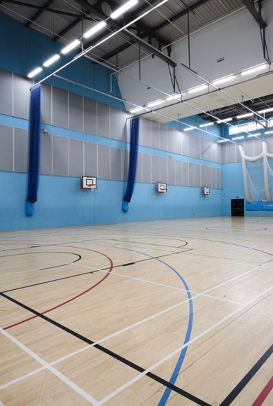 Illumina Linear UGR Banner