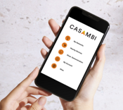 Partnering with Casambi