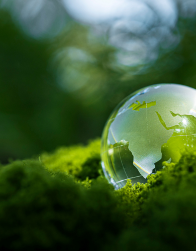 Carbon Emissions Reporting