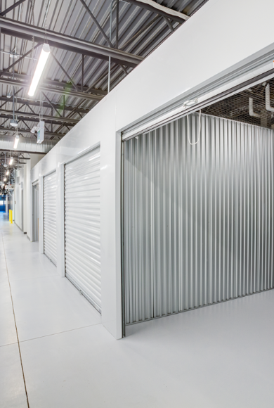 Illumina Linear Banner