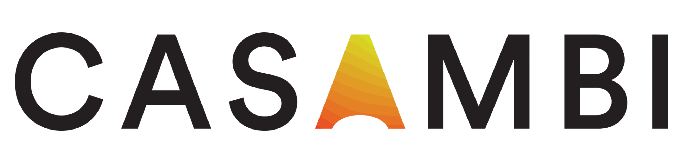 Casambi Black Logo